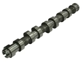 walek-rozrzadu-50006151-kbs