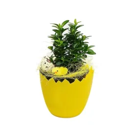 doniczka-skorupka-oslonka-wielkanocna-12cm-zolta-1szt