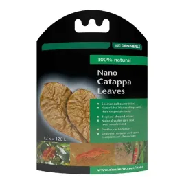 dennerle-liscie-migdalow-morskich-liscie-nano-catappa-12-szt-5916