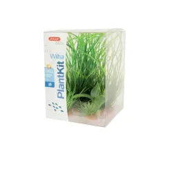 zolux-dekoracja-roslinna-plantkit-wiha-model-1-352140
