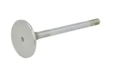 zawor-ssacy-22302