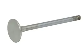 zawor-wydechowy-22310