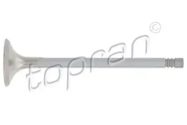 zawor-wydechowy-110-202-top