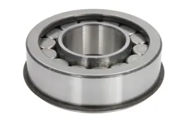 dt-spare-parts-5-30138-lozysko-walek-mechanizmu-roznicowego