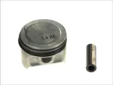 mahle-011-02-00-tlok