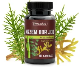 skoczylas-krzem-bor-jod-skrzyp-bambus-algi-60-kapsulek-czysty-sklad