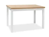 stol-60x100-dab-lancelot-bialy-mat-adam