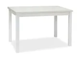 stol-adam-bialy-mat-100x60