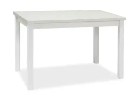 stol-adam-bialy-mat-100x60