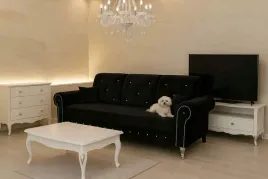235x90cm-kanapa-glamour-na-sprezynach-sofa-welur-nowa-funkcja-spania