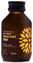 shot-kombucha-probiotyk-odpornosc-bezglutenowy-bio-100-ml-vigo