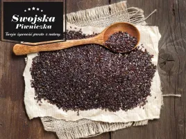 plesznik-nasiona-hurt-25-kg-cena