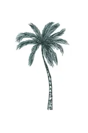 recznik-plazowy-bawelniany-bialy-z-palmami-na-lezak-hammam-90-x-170cm-201