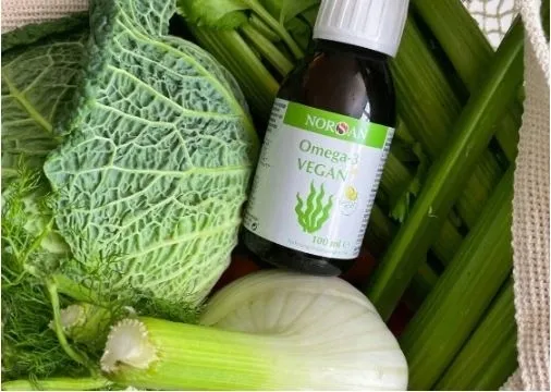 norsan-omega-3-vegan-stan-nowy