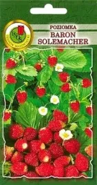 pnos-poziomka-baron-solemacher-05g