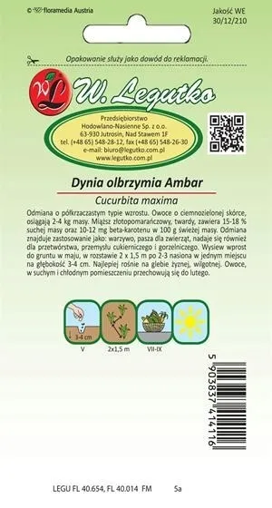 legutko-dynia-olbrzymia-ambar-3g-rodzaj-rosliny-dynia