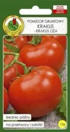 pnos-pomidor-gruntowy-krakus-krakus-oza-1g