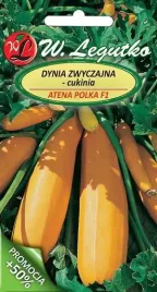 legutko-dynia-zwyczajna-atena-polka-f1-2g-1g-cukinia
