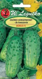 legutko-ogorek-borus-f1-4-00g
