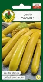 pnos-dynia-zwyczajna-cukinia-paladin-f1-2-g