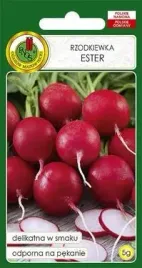 pnos-rzodkiewka-ester-5g