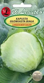legutko-kapusta-glowiasta-biala-langedijker-dauer-2g