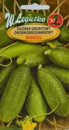 legutko-ogorek-marcel-f1-5g