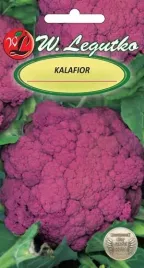 legutko-kalafior-di-sicilia-violetto-1g
