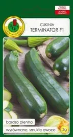 pnos-dynia-zwyczajna-cukinia-terminator-f1-2-g