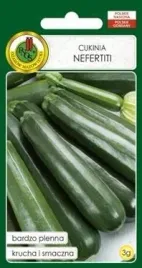 pnos-dynia-zwyczajna-cukinia-nefertiti-3g
