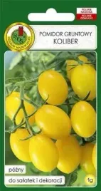 pnos-pomidor-gruntowy-koliber-1-g