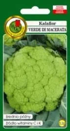 pnos-kalafior-verde-di-macerata-02g