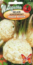 legutko-seler-korzeniowy-prager-reuzen-1g-02g