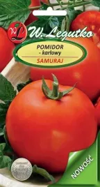 legutko-pomidor-samuraj-05g
