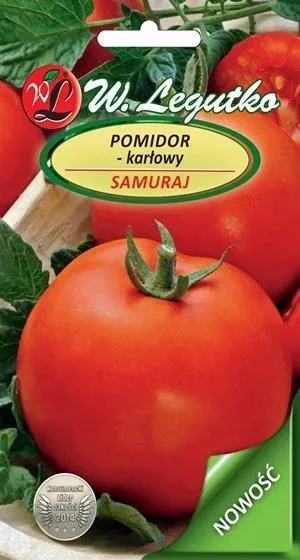 legutko-pomidor-samuraj-05g