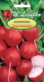 legutko-rzodkiewka-riesen-von-aspern-5g