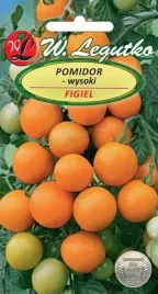 legutko-pomidor-figiel-05g