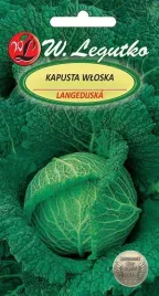 legutko-kapusta-wloska-langedijska-2g
