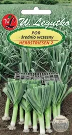 legutko-por-herbstriesen-2-1g