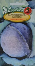 legutko-kapusta-glowiasta-czerwona-langedijker-dauer-2-2g