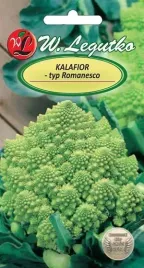 legutko-kalafior-romanesco-natalino-1g