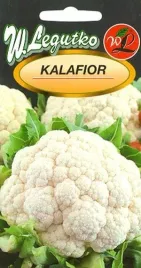 legutko-kalafior-bola-de-nieve-1-g