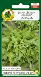 pnos-salata-debolistna-lisciowa-dubacek-1-g