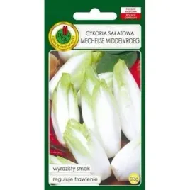 pnos-cykoria-salatkowa-mechelse-middelvroeg-03-g