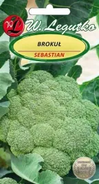 legutko-brokul-sebastian-2g
