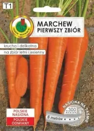 pnos-marchew-jadalna-pierwszy-zbior-6m-na-tasmie