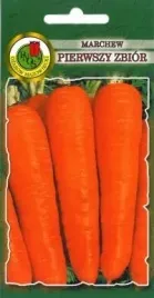 pnos-marchew-jadalna-pierwszy-zbior-5g