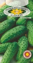 roltico-ogorek-konserwowy-aladyn-skierniewicki-mieszaniec-f1