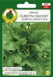 pnos-szpinak-olbrzym-zimowy-20g