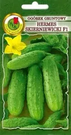pnos-ogorek-hermes-skierniewicki-f1-5g